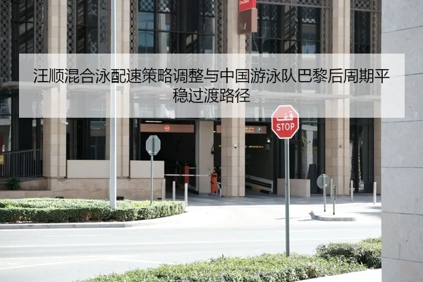 wang-shun-hun-he-yong-pei-su-ce-lve-tiao-zheng-yu-zhong-guo-you-yong-dui-ba-li-hou-zhou-qi-ping-wen-guo-du-lu-jing-2-757.jpg